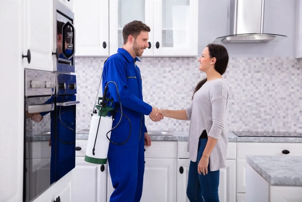 Pest Control Experts - Dublin Best Pest Pros | Dublin, CA | 925-709-5884